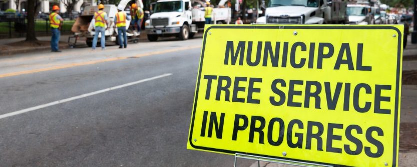 Municipal tree service insurance yellow municipal tree service sign with city crew