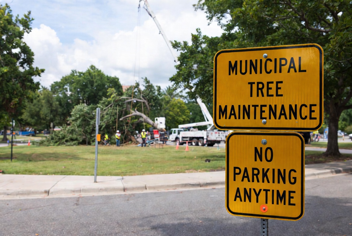Municipal tree service insurance yellow sign with hazardous tree removal in public park