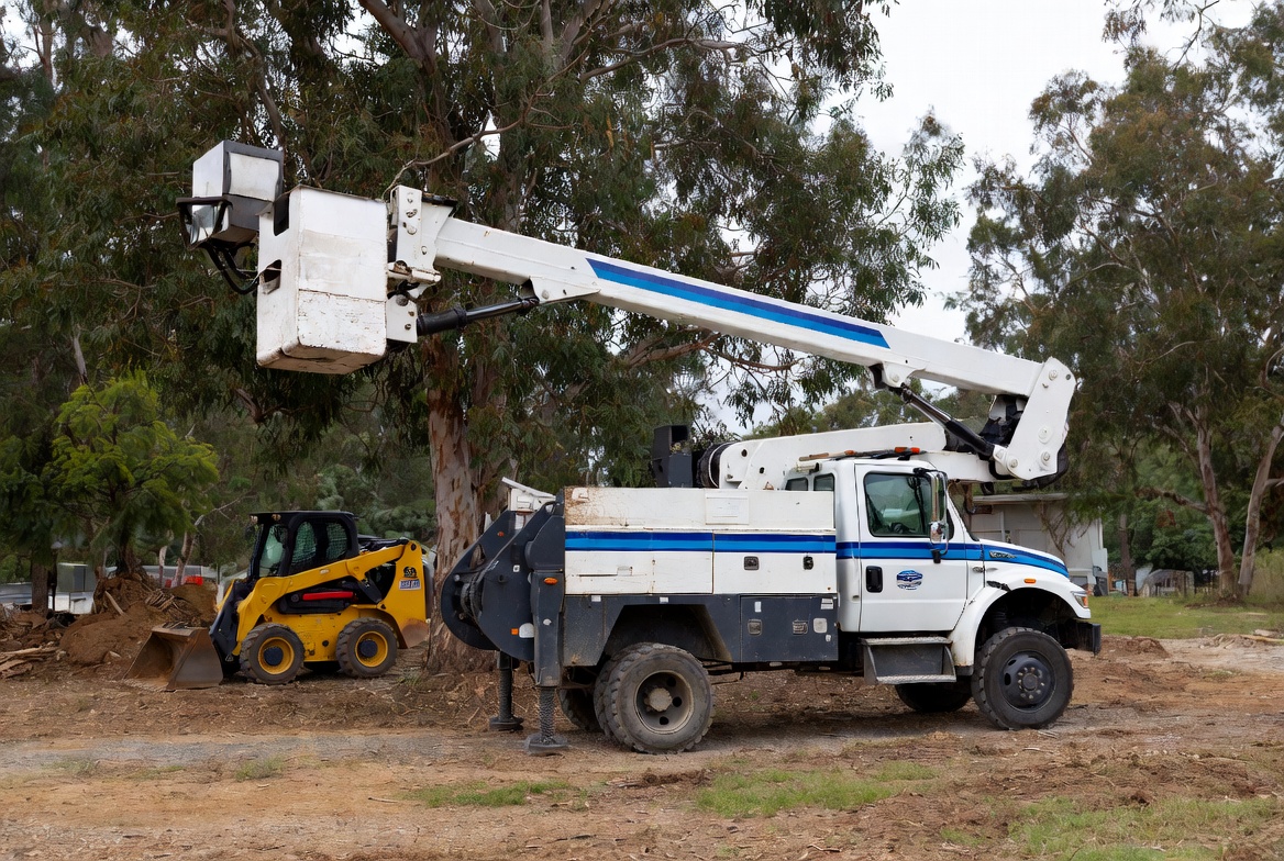 Bucket truck with raised boom and skid steer loader on an active tree service job site - Kelly Insurance Group