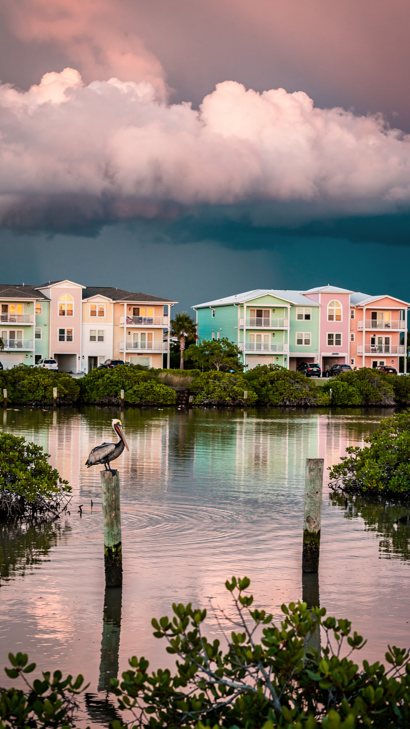 Tampa Bay waterfront condo skyline representing regional association insurance